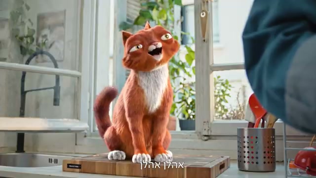 Dedi The Recycling cat